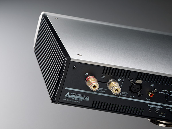 TEAC AP-701 black Усилитель мощности