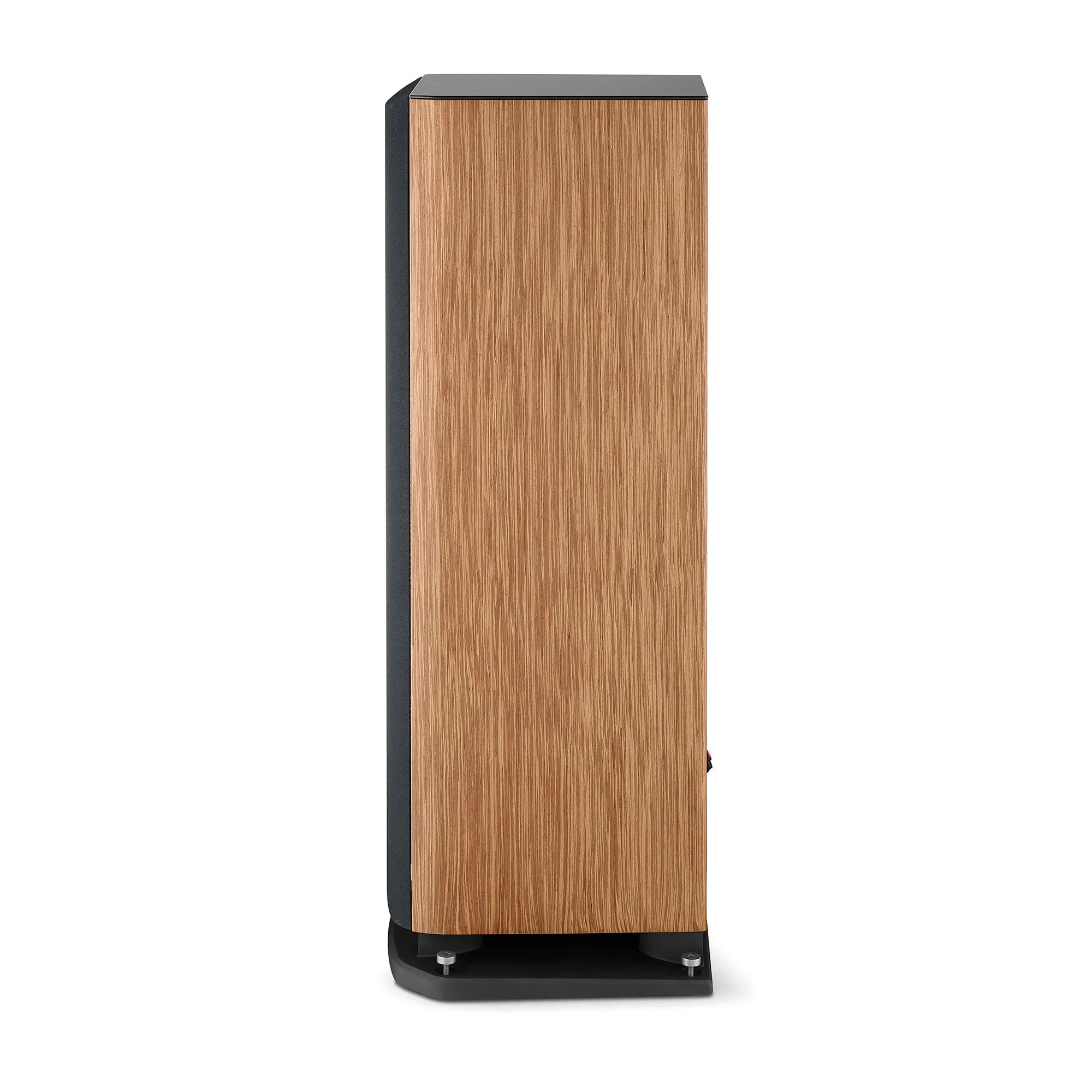Focal ARIA EVO X N4 Prime Walnut Напольная АС