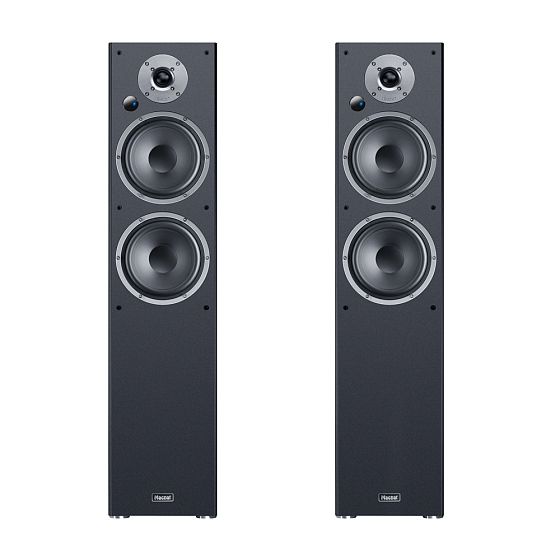 Magnat Monitor Reference 5A Black Напольная акустика